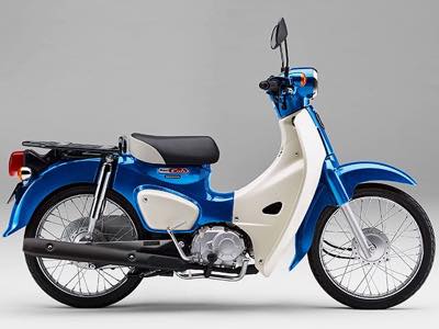 SUZUKI　ブルーバード　カブ50cc ホンダ スーパーカブ50 東京都 八王子駅前店 | レンタルバイクに乗る
