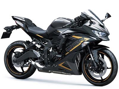 カワサキ ニンジャZX-25R SE 愛知県 中川店 | レンタルバイクに