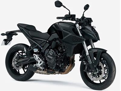 スズキ GSX-8S 北海道 千歳パーク店 | レンタルバイクに乗るなら