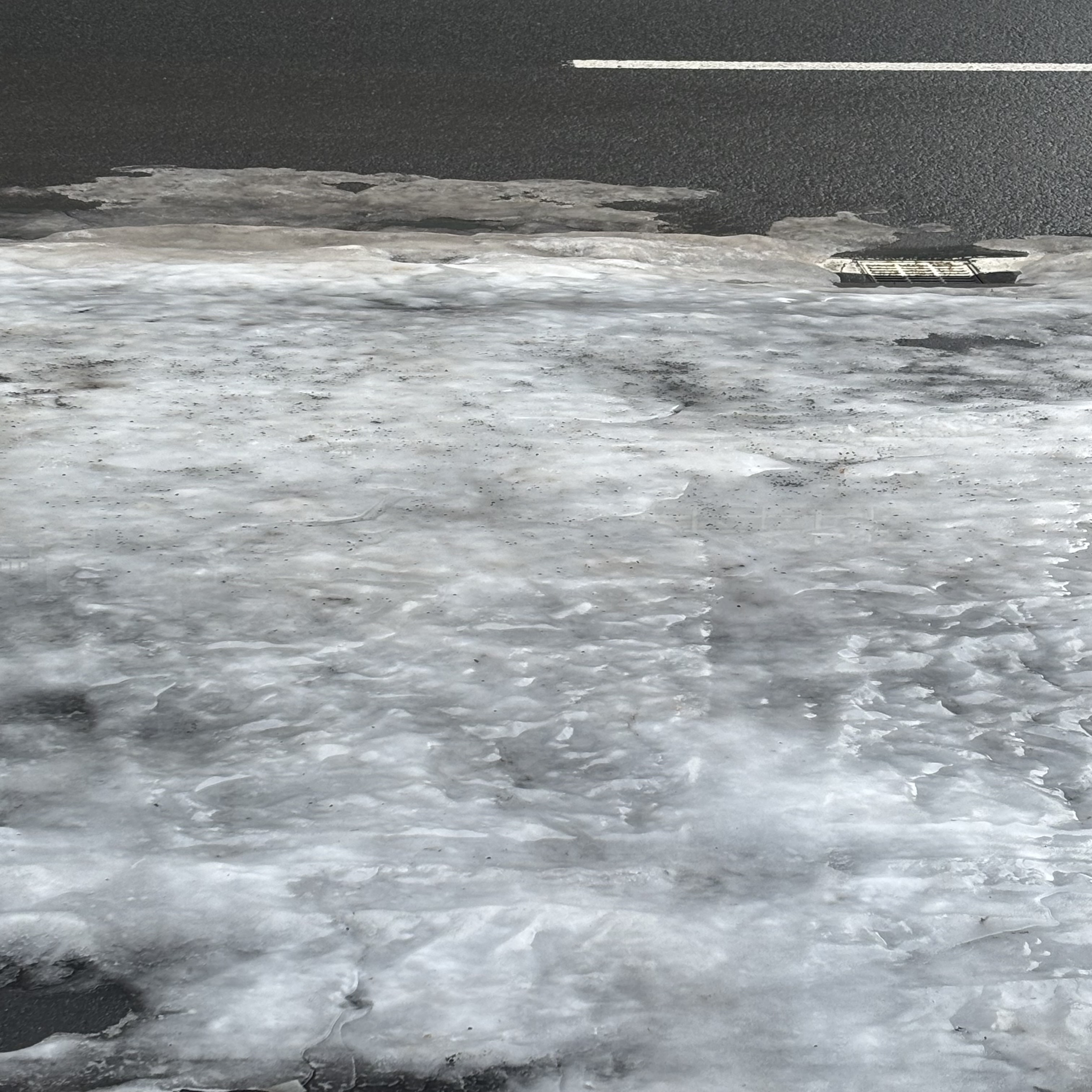 雪季様 ブレス２点 生まれた意味を明確にする特集◝(⁰▿⁰)◜メタモルフォーゼス 雪季様 ブレス2点 生まれた意味を明確にする特集◝(⁰